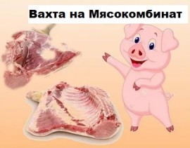 Рабочий в цех на мясокомбинат без опыта Вахта