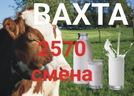 Разнорабочий на молокозавод/Вахта