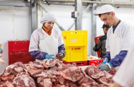 Вакансия на мясокомбинат в Воронежской области: Обвальщики, Упаковщики и Грузчик