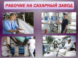 Работник цеха сахарный завод/Вахта